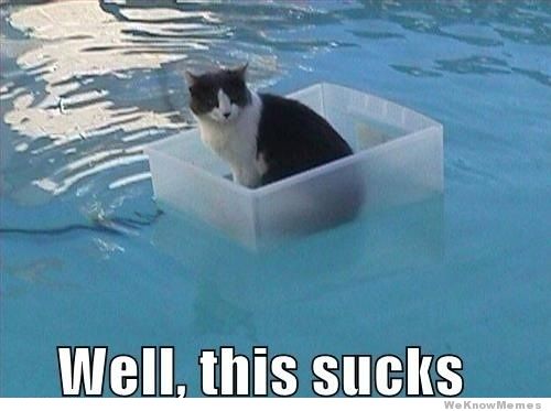 well-this-sucks-cat