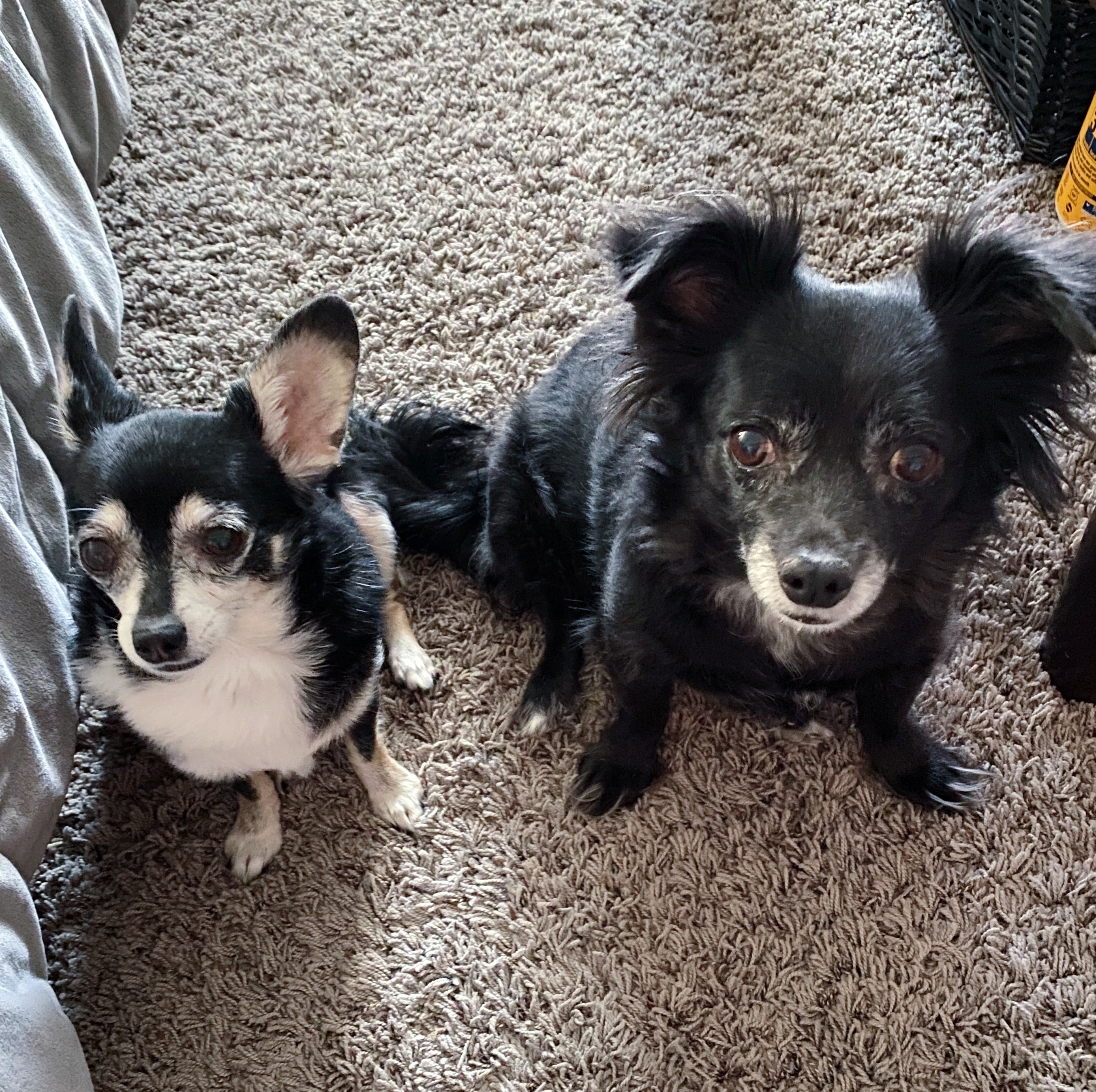 E651F183-DE63-4F8C-B085-972CD6CE821C